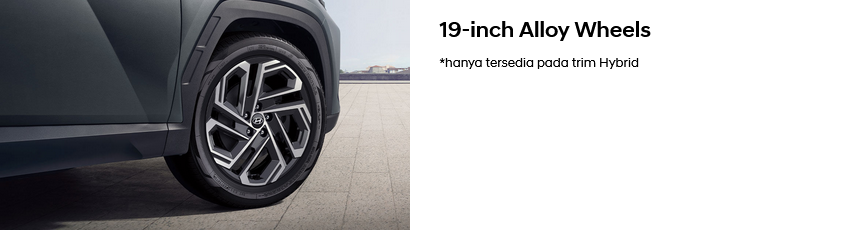 The New Tucson