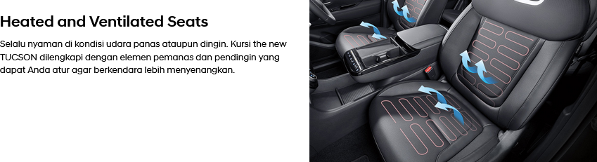 The New Tucson